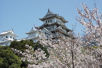 View of Himeji Castle and cherry blossoms in the Kansai region
