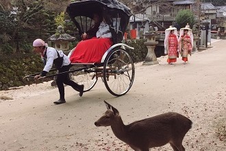 Miyajima Fall with Traditional Clothing