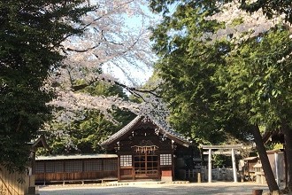 Photo of a shrine in Kasugai with cherry blossoms