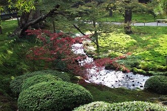 River Stream and Multicolor Trees in Kenrokuen