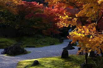 Picture of Showa Kinen Memorial Park, near Akishima, in the fall